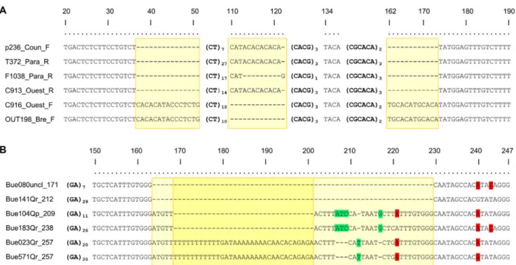 Figure 2. Alignment of a subset of DNA fragments at simple sequence repeat (SSR) loci Jc3H10 ( Jacaranda copaia ) (A) and QrZAG30 ( Quercus robur ) (B)