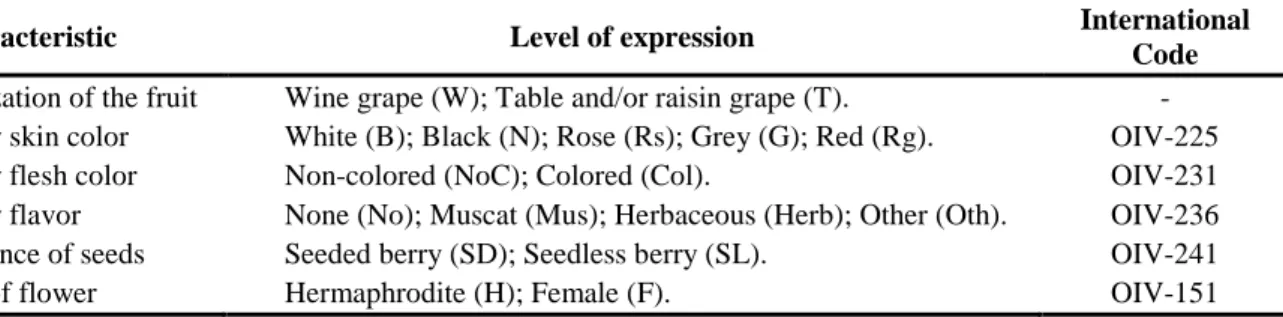 Table 5 List of the phenotypic traits recorded for group characterization and coded  according to the OIV (2009) notation system 