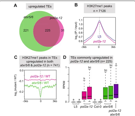 Fig. 2 POL2A ensures silencing independently of ATXR5/6-mediated H3K27me1. a Overlap between TEs upregulated in atxr5/6 (data from Ikeda et al