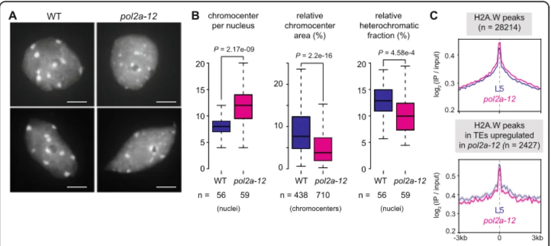 Figure S5C). Separating TEs based on their chromosomal location further revealed that pericentromeric TEs were strongly hypermethylated at CHG sites and to a lesser extent
