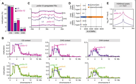 Figure S1G). Analyzing WT methylation rates at pol2a-12 CHG-hyper DMPs showed that CHG hypermethylation in pol2a-12 does not occur de novo, but rather targets cytosines already methylated in the WT (median WT methylation rate of 0.32) (Additional file 1: