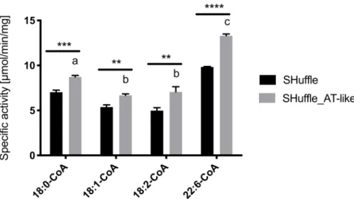 Figure 3. Thioesterase activity of AT-like domain toward four acyl-CoA substrates. Values are reported as means ± standard deviations for three biological replicates