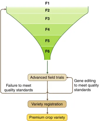 Figure 2 Gene editing to save near-miss varieties of inbred crops Crop breeding starts at the F1 generation and after multiple rounds of selection, generations and field trials a variety may fail to meet quality standard before final variety registration