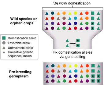Figure 4 CRISPR/Cas-based gene editing for de novo domestication.
