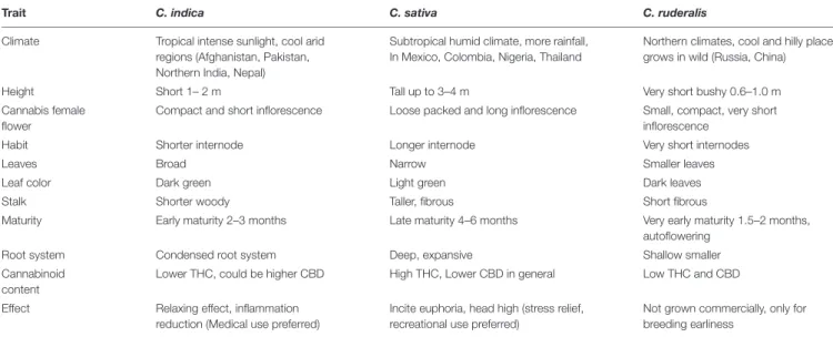TABLE 1 | Phenotypic differences among C. indica, C. sativa, and C. ruderalis ecotypes.