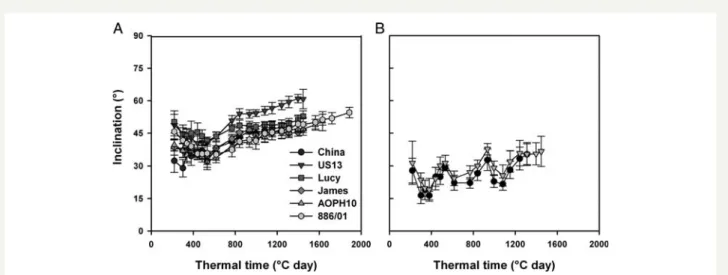 Fig. 7 Dynamics of stipule (A) and leaflet (B) inclination during the growing cycle. Values are indicated for main stems only (n ¼ 8 for each pea cultivar).