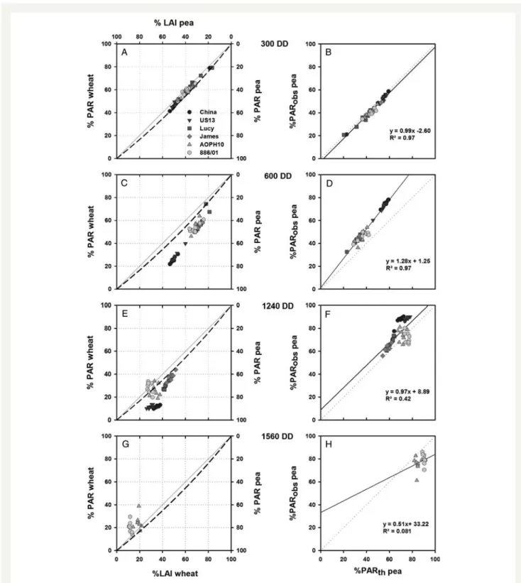 Fig. 3 Light sharing within virtual wheat– pea mixtures at 300, 600, 1240 and 1560 DD
