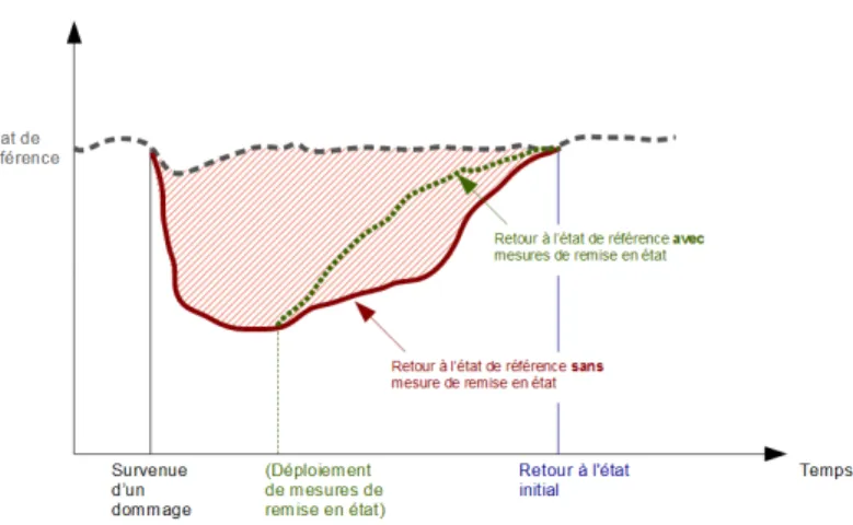 Figure   1   –   Représentation   schématique   des   pertes écologiques intermédiaires (surface hachurée en rouge) 