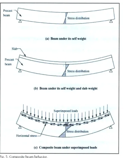 Fig.  5. Composite beam  behavior.