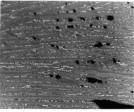 Figure  IV-10  Microstructure  of  slag  shell  for  slags N-FA  and  N-FB  (125x)