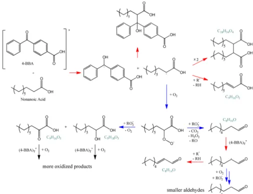 Figure 5. Proposed mechanism for the photosensitized degradation of NA. Blue highlighted pathways are expected to be promoted under air and red highlighted pathways at the interface and under nitrogen