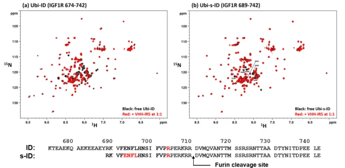 Figure S6. Binding Interactions of IGF1R ID fragments with VHH-IR5 followed by amide  H- 15 N SOFAST-HMQC  * 