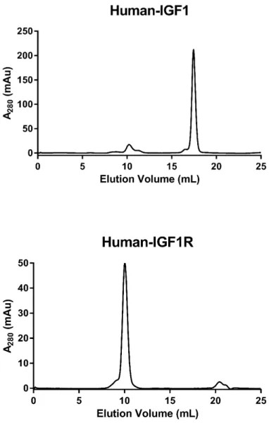 Figure S1:  Size-exclusion chromatography (SEC) characterization of IGF-1, the human  IGF1R ectodomain and VHH-IR5