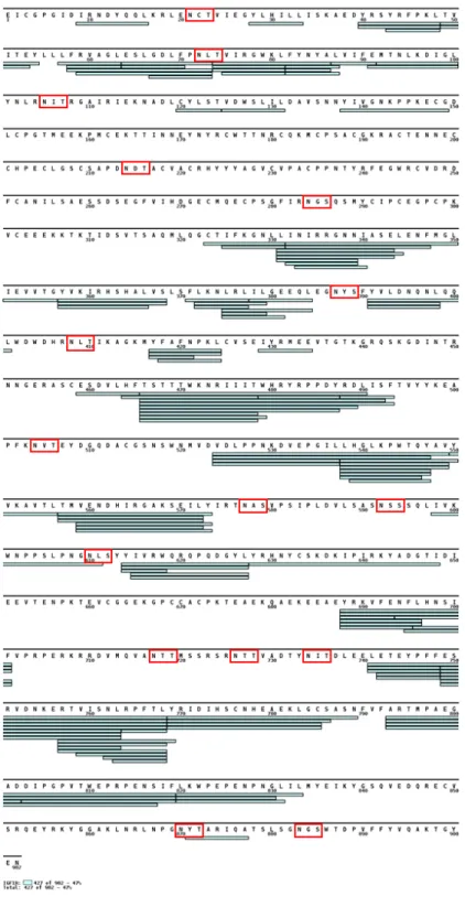 Figure S4. Validated HDX-MS coverage of eIGF1R. Rectangles represent individual  peptide features, and predicted N-linked glycans are highlighted by red squares