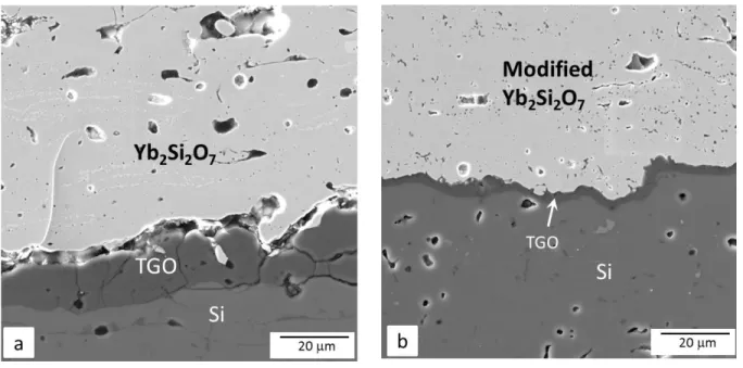 Figure 5 - Cross-section of (a) silicon/Yb 2 Si 2 O 7  and (b) silicon/Yb 2 Si 2 O 7  + 4.66 wt% YAG  +1.39 wt% mullite EBCs on CMC after 1,000 one-hour cycles at T = 1316°C, P(H 2 O) = 0.9 atm, 