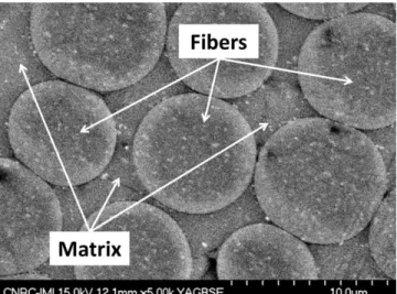 Figure 1 – SEM picture of a polished cross-section of a CMC. 