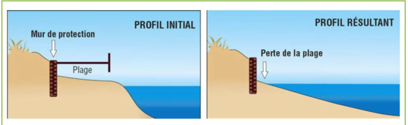 Figure 8 - Schéma de l’impact d’un ouvrage longitudinal sur la plage 