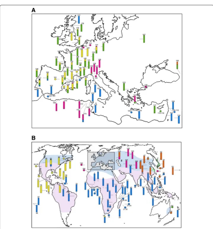 Figure 1 w Pip haplotypes phylogeny constructed using Maximum Parsimony method based on concatenated sequences of ank2 , pk1 , MutL , GP15 and RepA genes