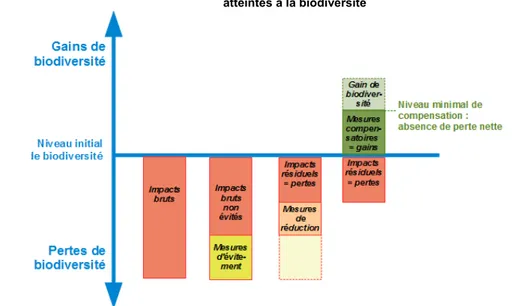 Fig. 1 - Représentation schématique du bilan écologique de la séquence éviter, réduire et compenser les atteintes à la biodiversité 