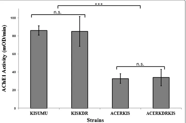 Figure 2 Total AChE1 activity for females of different Anopheles gambiae s.s. strains