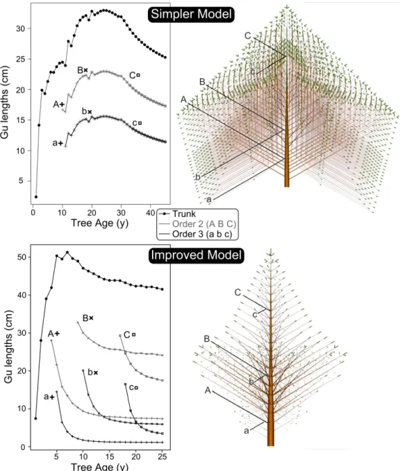 Figure 2.  Simulation of successive Gu lengths along the trunk and three branches order 2 (uppercase letters) and order 3 (lowercase letters)