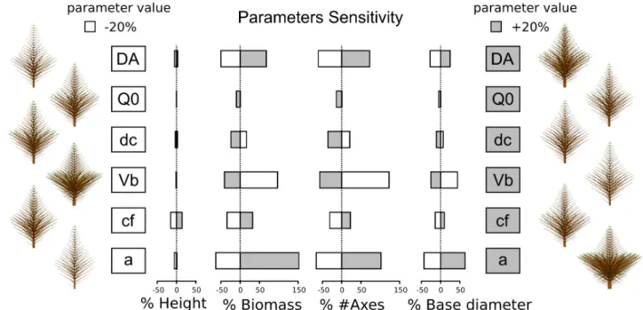 Figure 3.  Effect of parameters variations (+/- 20%) on various simulated trees properties