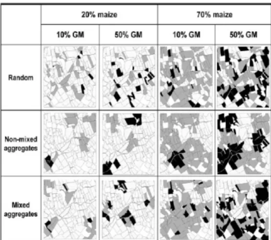 Figure 5. A set of maps generated in [45] with the same field pattern Z 1 and different variety allocations Z 2 .