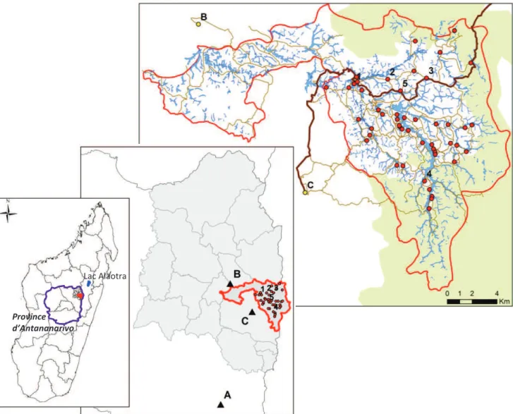 Figure 1.9 : Localisation du village Anjozorobe (C) et des marchés de bovins (A-Ambatomena; B-Antanandava)  qui  approvisionnent  la  zone  d’étude  (ligne  rouge)  et  les  villages  suivis  (points)  (1-Amboanonoka;   2-Ambongamarina; 3-Antanifotsy; 4-Am