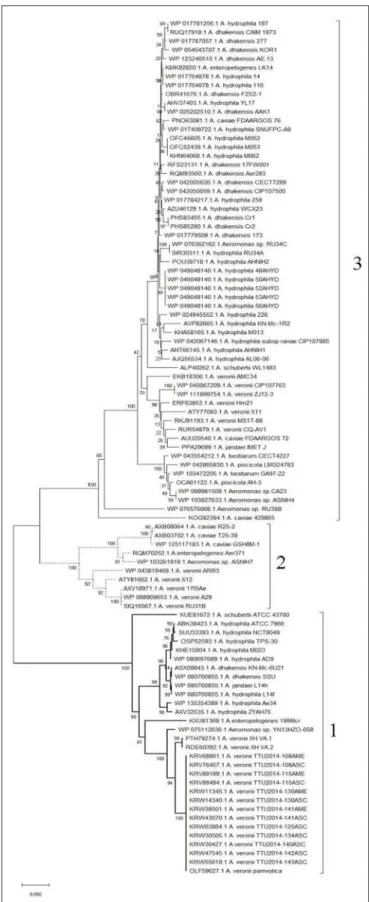 FIGURE 6 | Phylogenetic tree generated by the neighbor-joining method on the basis of the Fgi-1 amino acid sequences
