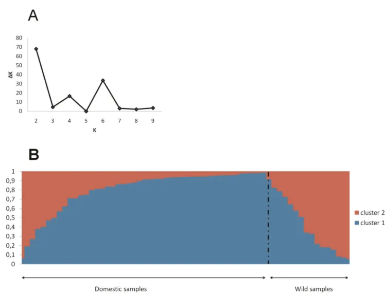 Figure 1. Genetic structure of wild and domesticated populations. A. Values of DK calculated by using the Evanno et al