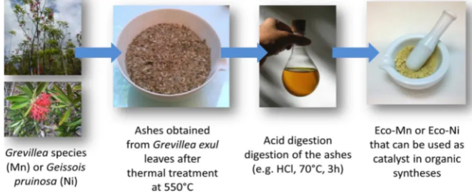 Fig. 1 General process for the preparation of ecocatalysts