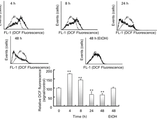 Fig. 4. Reactive oxygen species (ROS) evaluation by dichlorofluorescein fluorescence flow cytometry analysis after 0, 4, 8, 24 or 48 h with DHA treatment, includ- includ-ing an ethanol (EtOH) control at 48 h