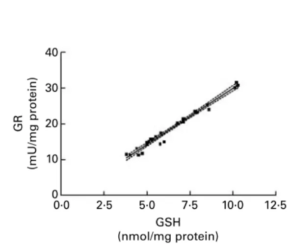 Fig. 6. Correlation between GSH content and glutathione reductase (GR) activity for twenty-eight cell samples of the time course study