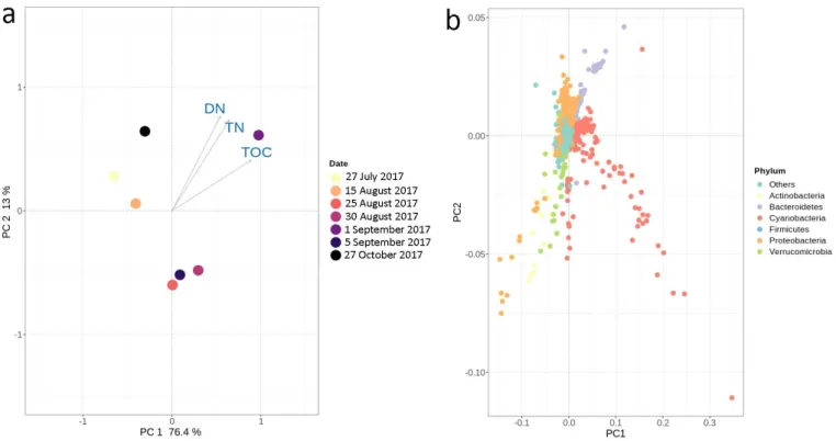 Figure S1. Principle components analysis (PCA) of nutrient parameters’ impact on a) sampling dates, b) bacterial diversity  (phylum level) in raw water (RW) on 27 July, 15, 25, 30 August, 1, 5 September and 27 October 2017