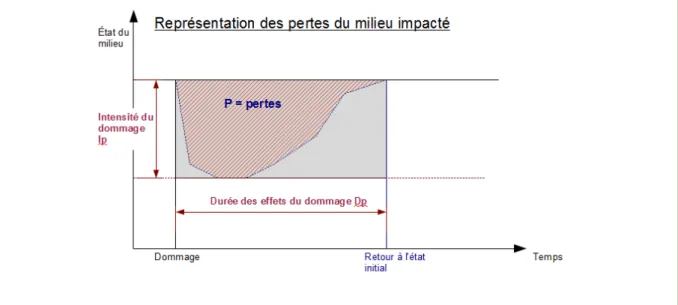 Fig. 2 - Représentation schématique des pertes résultant du dommage