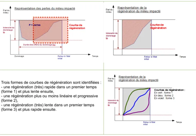 Fig. 3 - Représentation schématique des courbes de régénération du milieu impacté