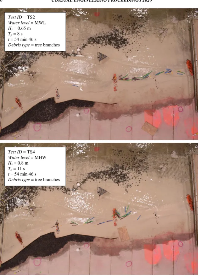 Figure 4. Snapshots (at t = 54 min 46s) of experiments TS2 (top) and TS4 (bottom), illustrating the effects of  sea state on debris mobility