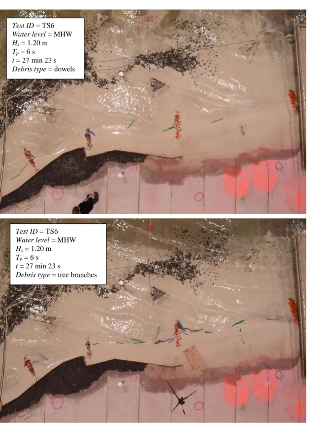 Figure  6.  Snapshots  (at  t  =  27  min  23  s)  of  experiment  TS6  with  dowels  (top)  and  branches  (bottom),  illustrating the effects of debris morphology on mobility