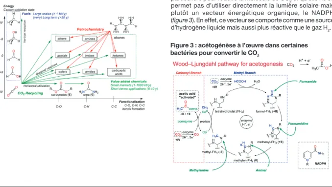 Figure 2 : transformations chimiques possibles à partir  du CO 2