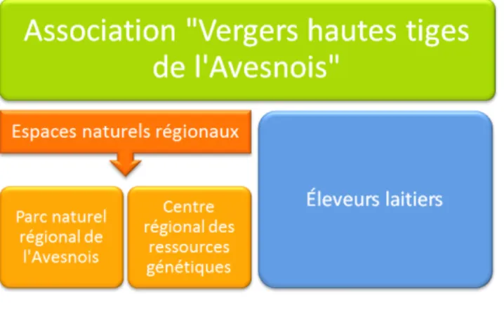 Figure 3 - Organisation de l’association