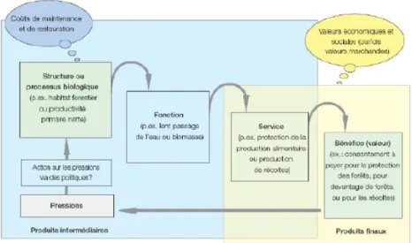 Figure 2.3 - Cadre conceptuel « cascade »