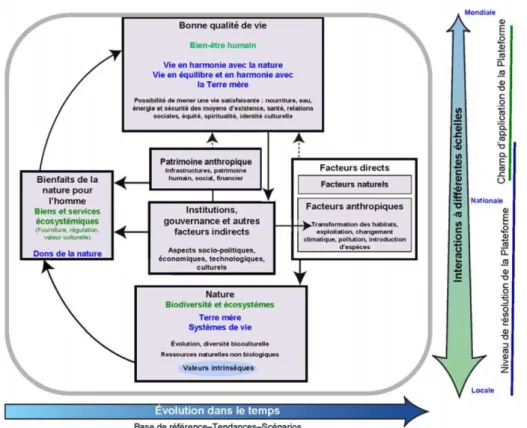 Figure 2.5 – Cadre conceptuel de la Plateforme intergouvernementale sur la biodiversité et les services écosystémiques