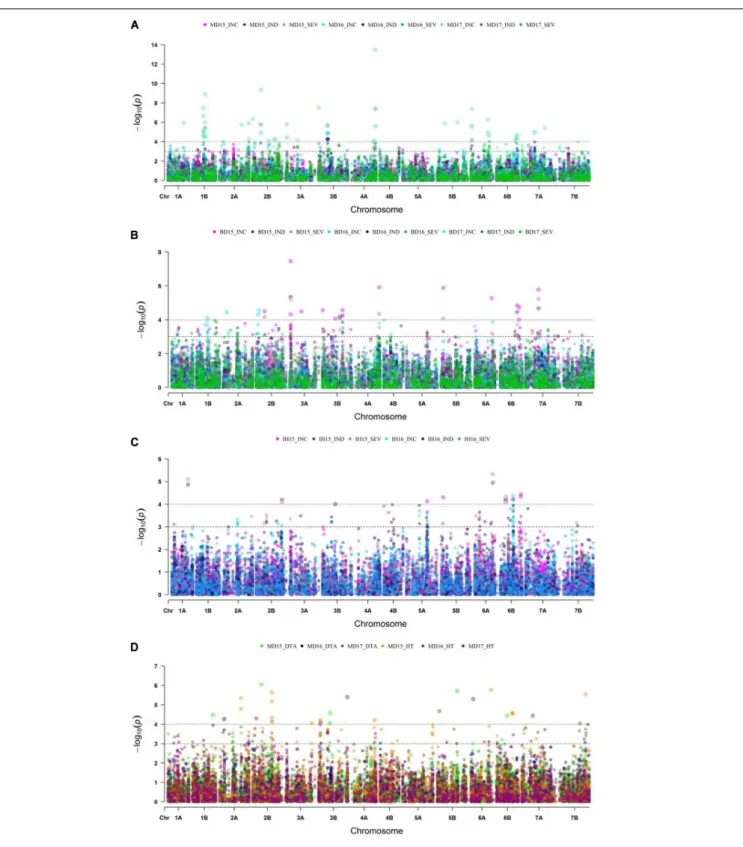 FIGURE 4 | Manhattan plots displaying genome wide marker-trait association analysis for FHB incidence (INC), index (IND) and severity (SEV) at (A) Morden, MB from the years 2015 to 2017; (B) Brandon, MB for years 2015 to 2017; (C) Indian Head, SK from 2015