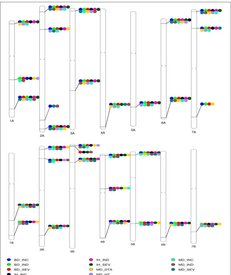 FIGURE 5 | The reference genotype–phenotype map. A reference genotype–phenotype map with the most significant trait-associated markers in each chromosome aligned to the reference sequence of common wheat (International Wheat Genome Sequencing Consortium [I