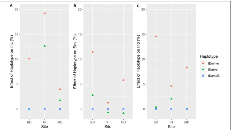 FIGURE 6 | Haplotype effects (mean values across years in each site) of Fhb1 (3BS.2) QTL on (A) FHB incidence (Inc); (B) FHB severity (Sev); and (C) FHB index (Ind)