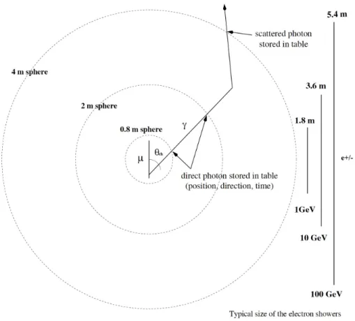 Figure 3: Graphical representation of the emission and propagation of Cherenkov photons induced by muons and electrons through the medium, crossing concentrical spheres at different distances.