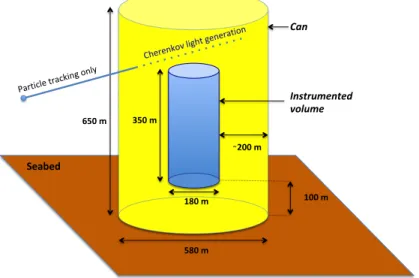 Figure 1: Schematic view of the ANTARES can (in yellow), anchored to the seabed (in brown) and containing the detector instrumented volume (in blue).