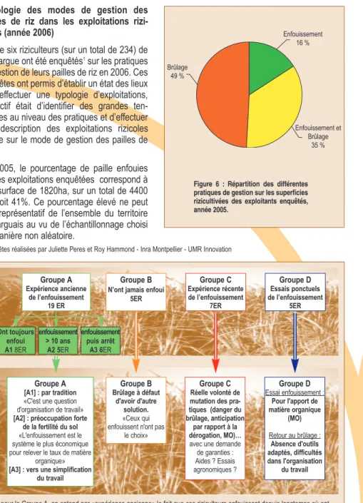 Figure 7 : Typologie des exploitations rizicoles enquêtées