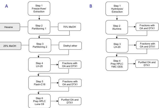 Figure 5. Isolation of OA and dinophysistoxin 1 (DTX1) from P. lima showing: (A) the procedure published by Beach et al