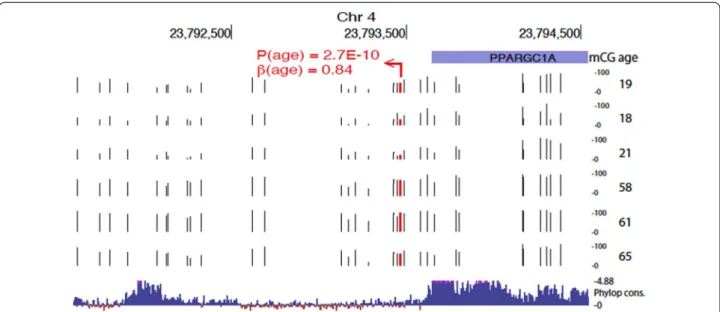 Table  S5). We performed gene ontology (GO) analyses  and found an enrichment of 420 genes in  age-depend-ent hypoDMRs, and 606 genes in age dependage-depend-ent  hyper-DMRs